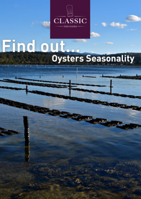Oyster-Catalog