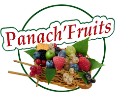 Panach Fruits